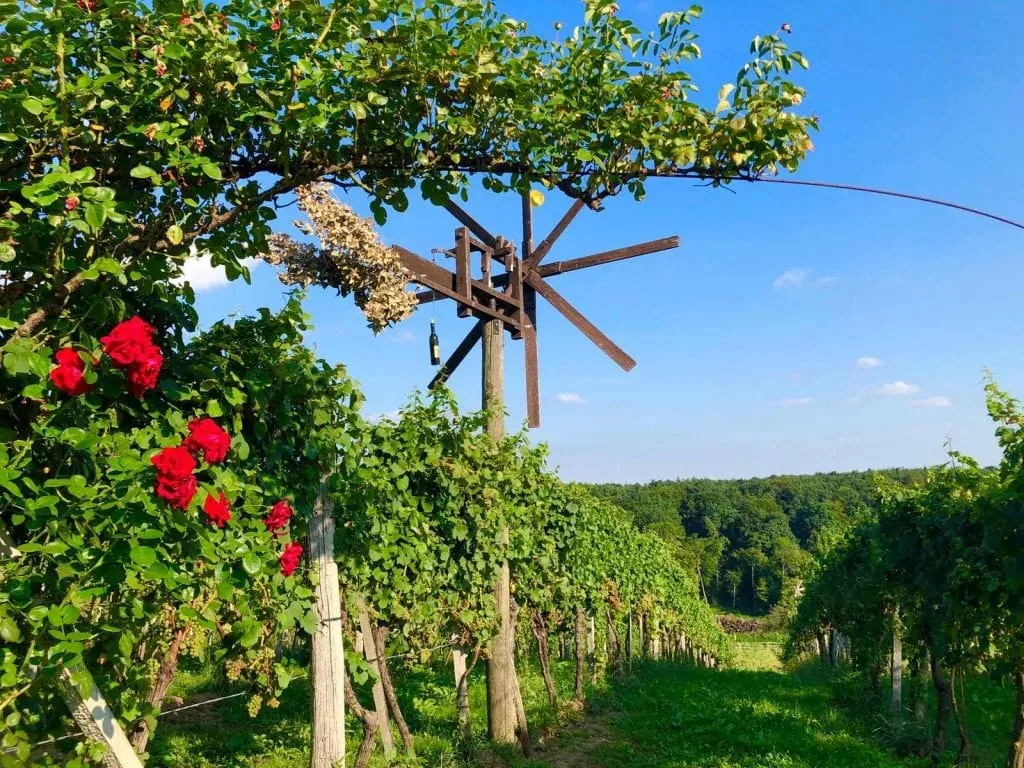 Bad Radkersburg Urlaub Sonderangebot Traminerwandern und Therme, Gästehaus Ferk