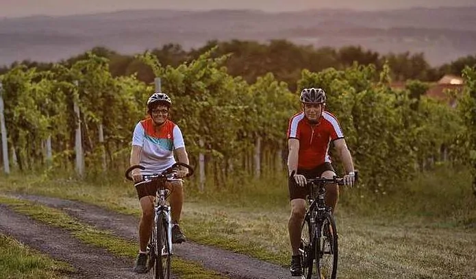 Bad Radkersburg Urlaub Sonderangebot Kulinarische Weinbergtour, Gästehaus Ferk